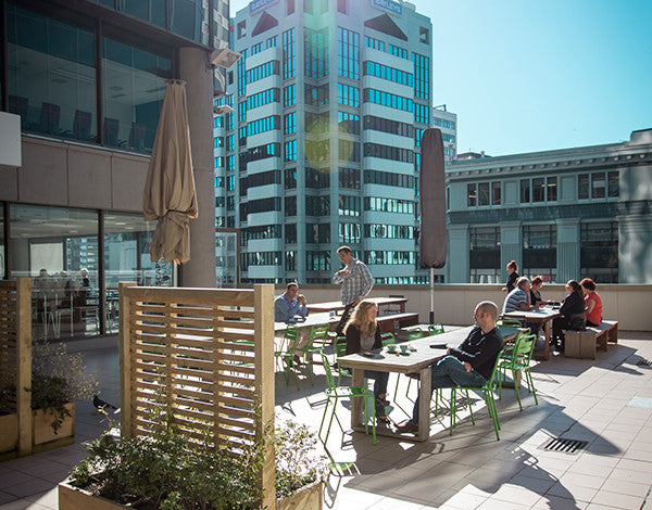 113 The Terrace