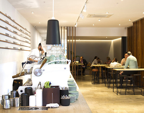 Mojo Coffee cafe at Aurora Centre, 56 The Terrace, Great Coffee